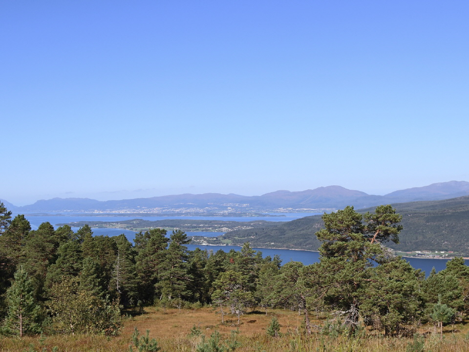 Fjordlandschaft